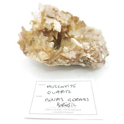 Mica (muscovite) en étoile, Quartz, Minas Gerais, Brésil.