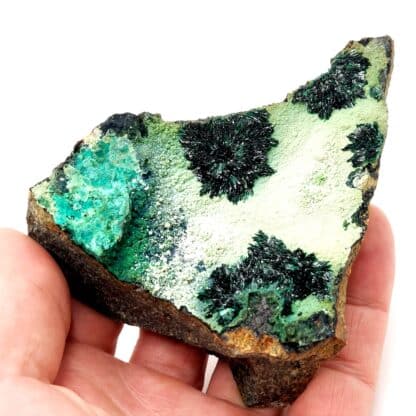 Atacamite, Mine de la Farola, Atacama, Chili.