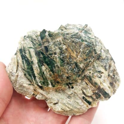 Actinolite, District de Schwaz, Tyrol, Autriche.