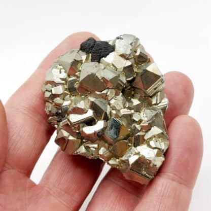 Cristaux de Pyrite, Huanzala, Pérou.