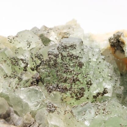 Fluorite verte et pyrite, El Hammam, Maroc.