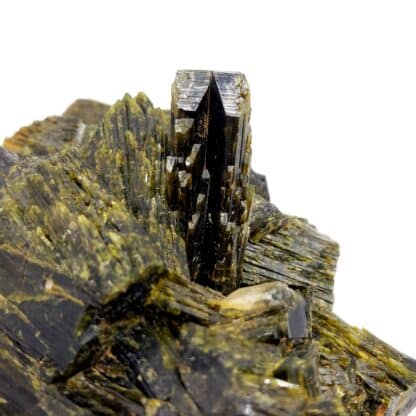 Cristaux d'Epidote provenant de Madagascar.