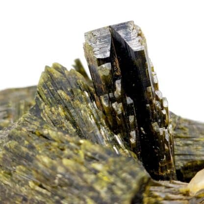 Cristaux d'Epidote provenant de Madagascar.