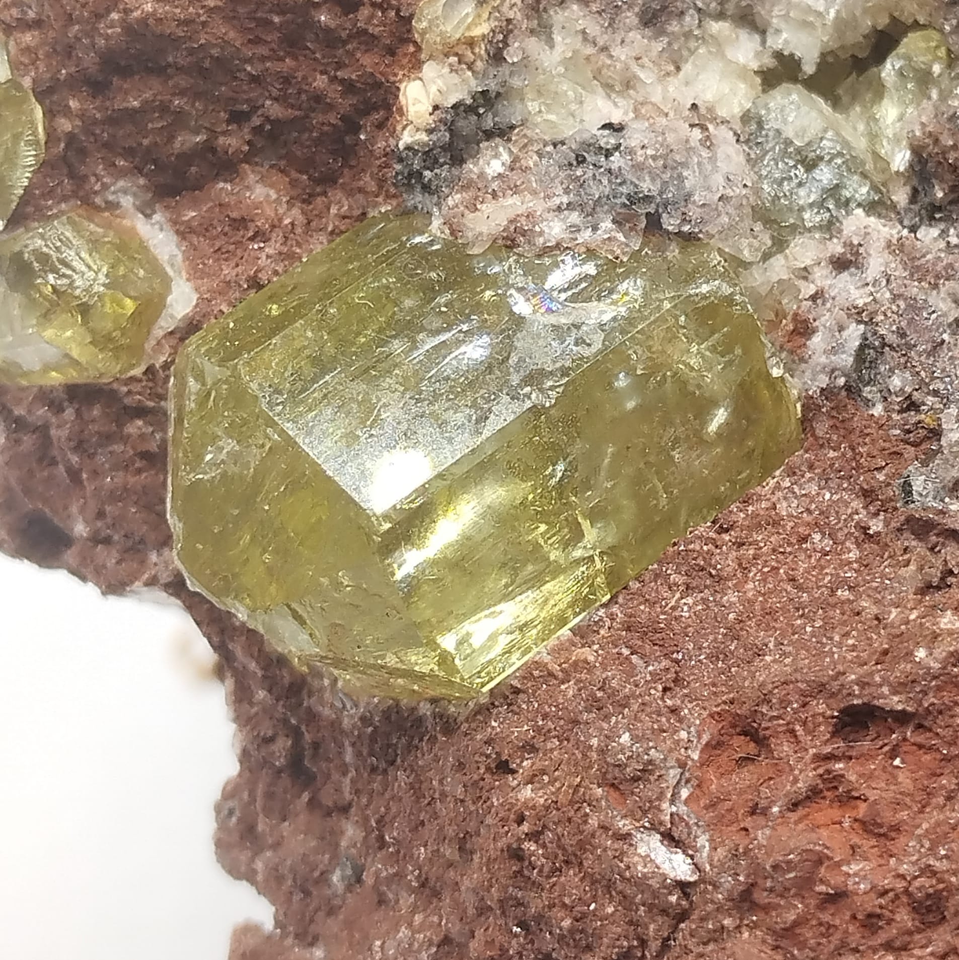 Apatite, Cerro do Mercado, Durango, Mexique.