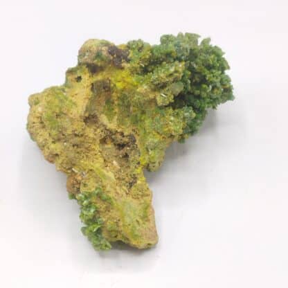 Pyromorphite, Mine des Farges, Corrèze, Limousin.