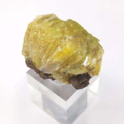 Adamite, Ojuela, Mexique.