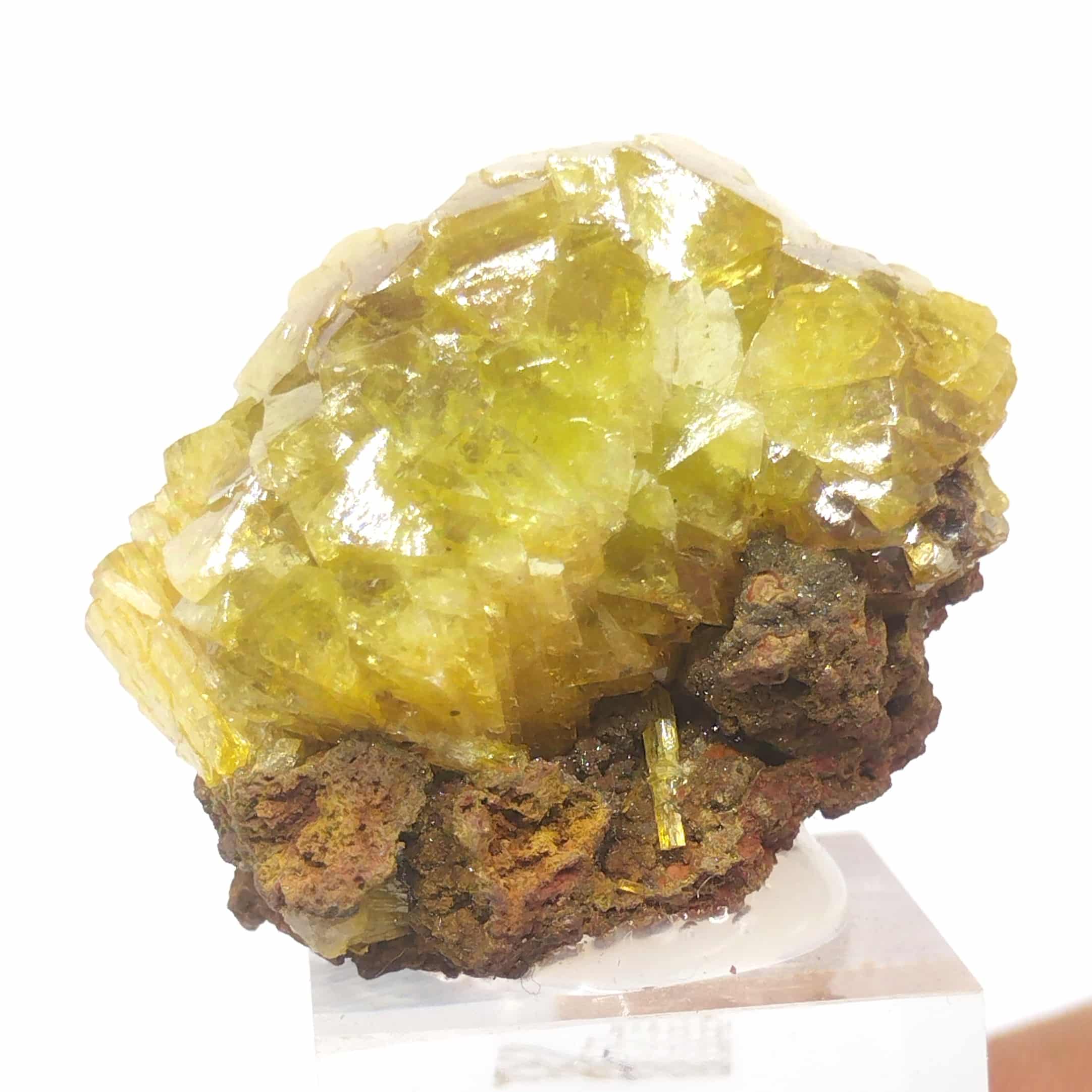 Adamite, Ojuela, Mexique.