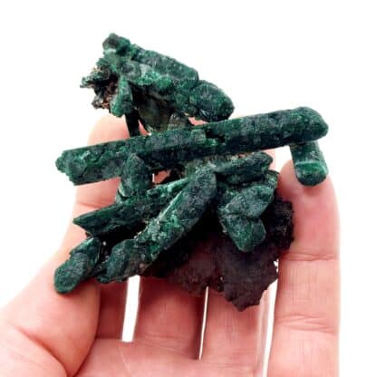 Azurite pseudomorphosée en malachite, Puits XII, Touissit, Maroc.