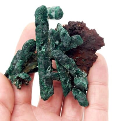 Azurite pseudomorphosée en malachite, Puits XII, Touissit, Maroc.