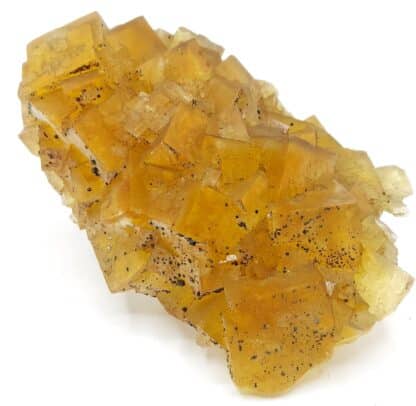 Fluorite jaune, Gersdorf, Mittelsachsen, Saxe, Allemagne.