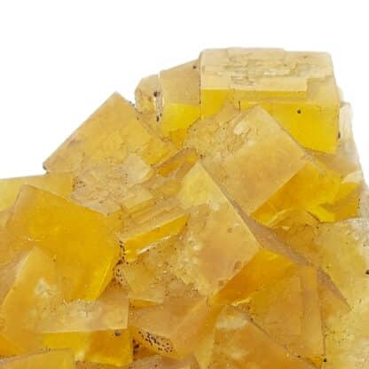 Fluorite jaune, Gersdorf, Mittelsachsen, Saxe, Allemagne.