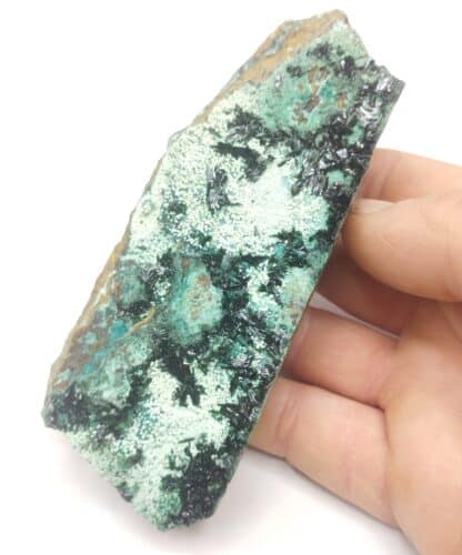 Atacamite, Mine de la Farola, Atacama, Chili.