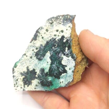 Atacamite, Mine de la Farola, Atacama, Chili.