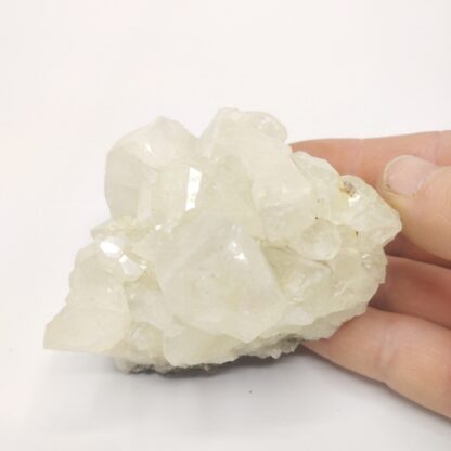 Datolite, Prospect Park, New Jersey, USA (États-Unis).